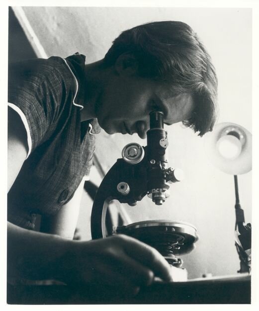 Rosalind Franklin, del olvido a la&nbsp;admiración
